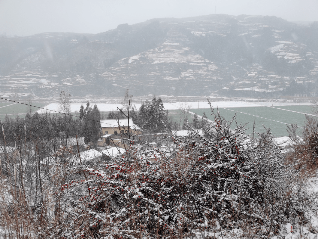 下一关在哪苹果版下载:第一场雪，下在了哪条线上？