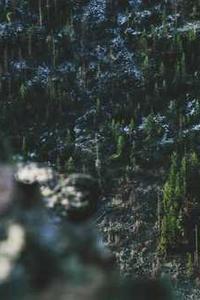火山小视频手机版
