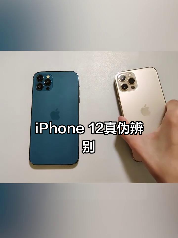 苹果12日版和韩版(iphone12韩版和国行有什么区别)-第6张图片-有道翻译官网