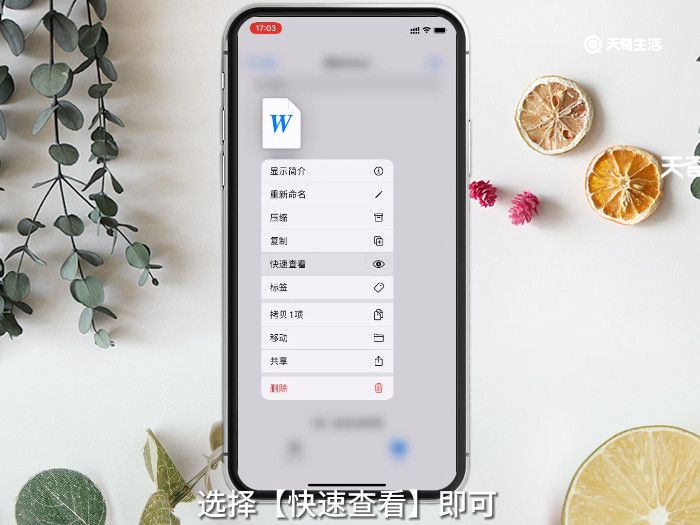 word文档免费版手机版苹果(免费下载word文档手机版苹果)