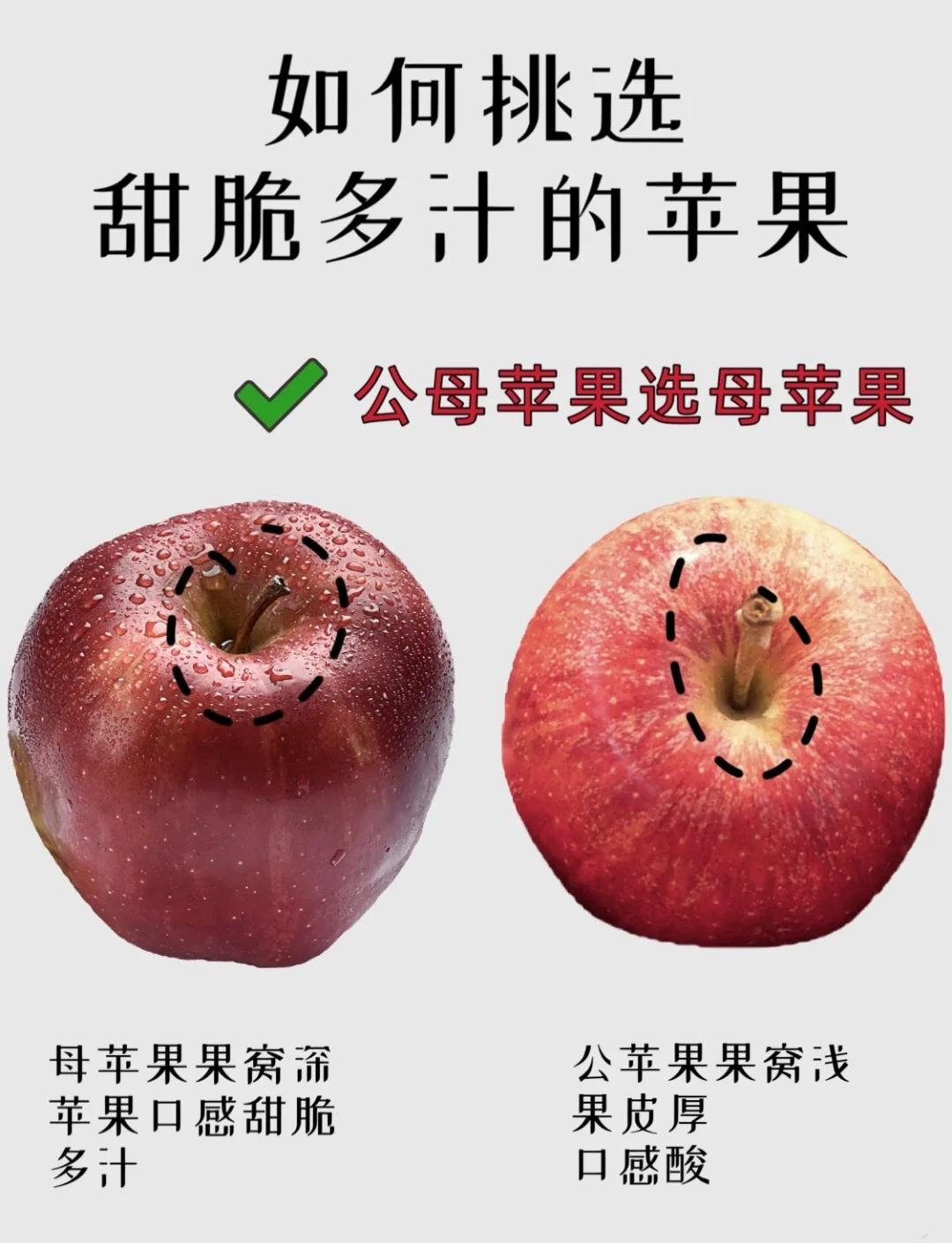 苹果区分美版s版和t版(美版iphoneatt版本)-第4张图片-有道翻译官网 苹果区分美版s版和t版(美版iphoneatt版本)-第4张图片-有道翻译官网