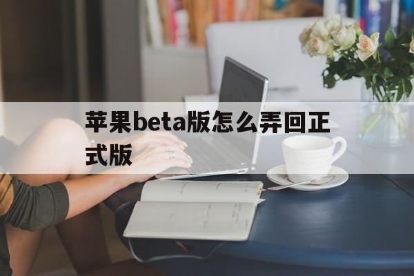 苹果beta版怎么弄回正式版(苹果手机更新beta版想回到原版本)-第11张图片-有道翻译官网 苹果beta版怎么弄回正式版(苹果手机更新beta版想回到原版本)-第11张图片-有道翻译官网